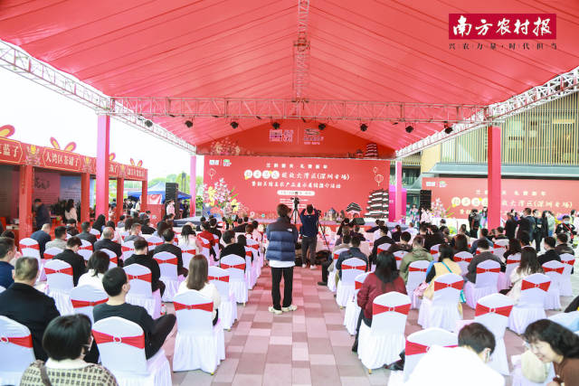 1  南方农村报 晁海娟 拍摄