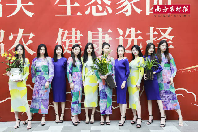 1  南方农村报 晁海娟 拍摄