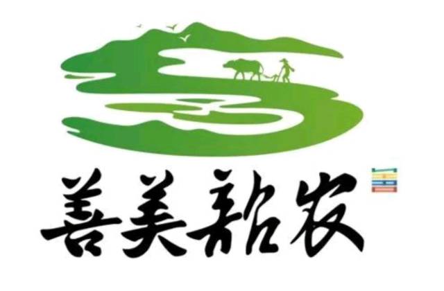 南方农村报 晁海娟 拍摄