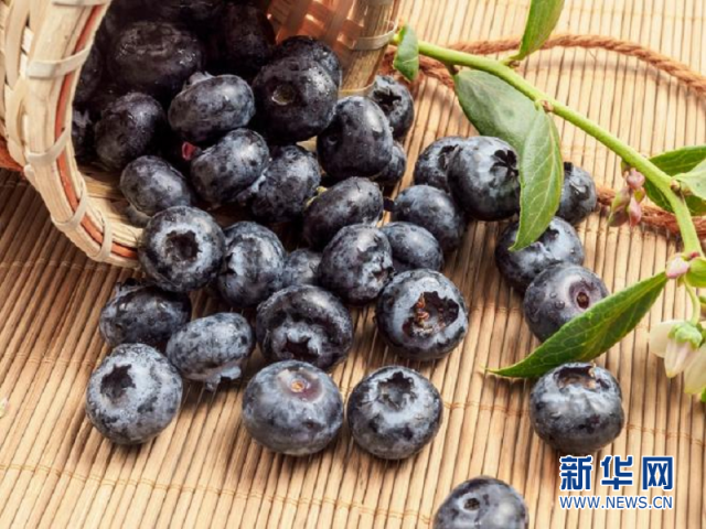 蓝莓消费市场正在兴起。