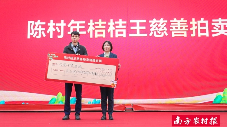 78888元！中集产城佛山公司竞得2023陈村“桔王” | 家乡年味 粤有好礼⑨
