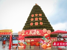 快评丨线下花市重启，共赴明媚春光