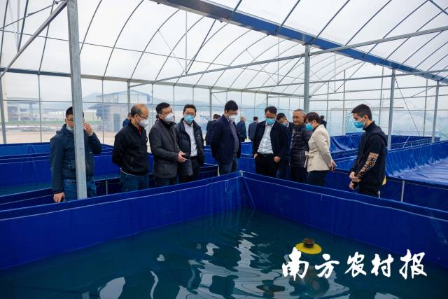 南方农村报 莫景文 拍摄