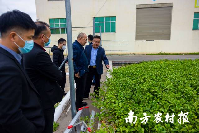 南方农村报 莫景文 拍摄