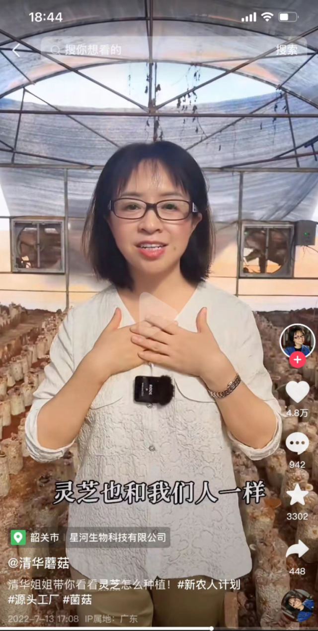 种植灵芝的视频吸引大量观众。