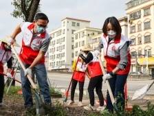旗山时评｜让菊城文明“花开遍地”