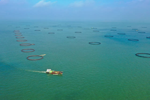 粤海饲料 谢镇伟 拍摄