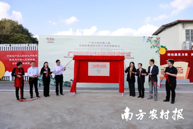 在德庆县东璞生态农业有限公司贡柑出口基地，“广府贡柑友谊果园”牌匾揭牌。