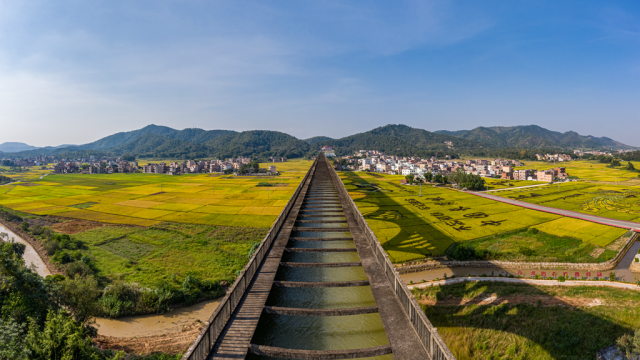 长岗坡渡槽下，罗定稻米香两岸。罗定市农业农村局供图 