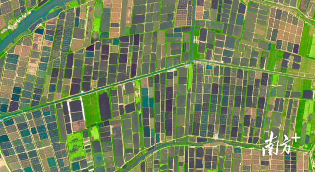 3200米高空下的白蕉海鲈养殖基地