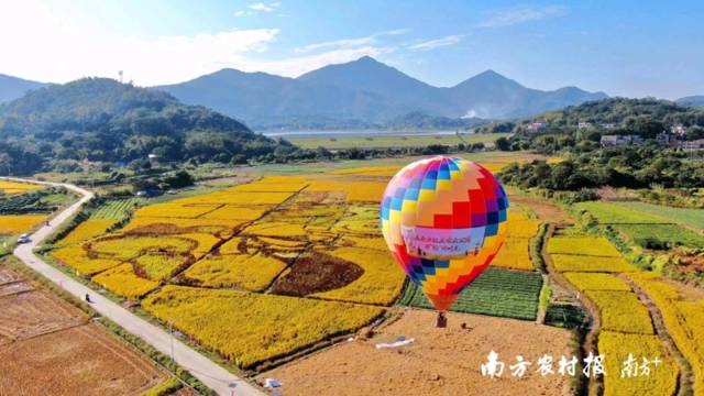 南方报业农业公园