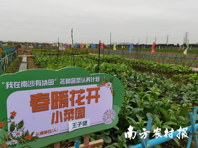 0  南方农村报 李思敏 拍摄