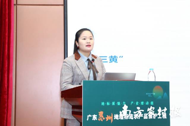 龙门农产品行业协会常务副会长张小玲