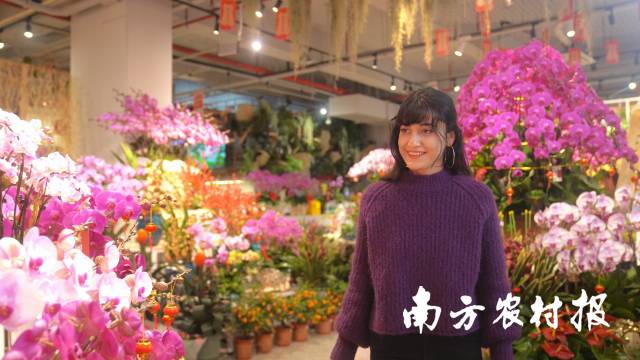 南方农村报 林晓岚 拍摄