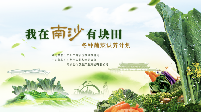 0  南方农村报 李思敏 拍摄