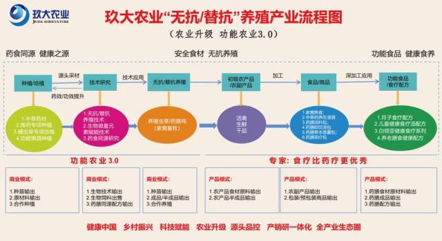 玖大农业无抗/替抗养殖产业流程 