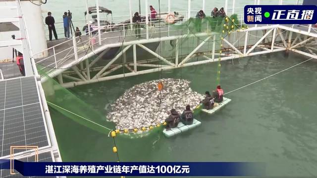 央视连连发力推年鱼，年鱼向全国人民送吉祥