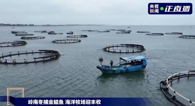 南方农村报 叶香玲 拍摄