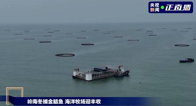 南方农村报 叶香玲 拍摄