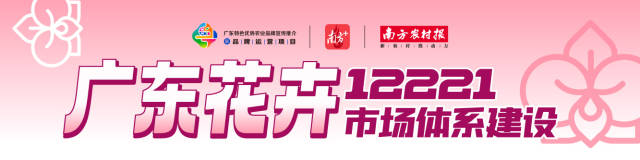 美好相会！广东国兰大年初一亮相央视，与全国人民“香”约贺岁