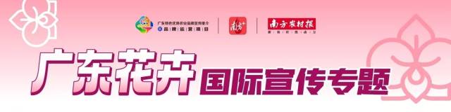 Piotr的新春Vlog