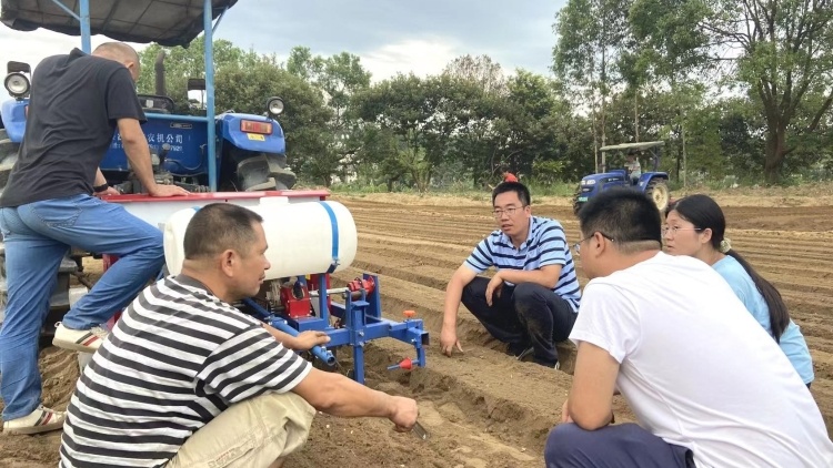 张雷：窄幅高垄单粒精播高产模式及配套机械化，助力花生产业增产增收