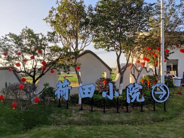 荷花园入口旁新打造了一个别致的荷田小院