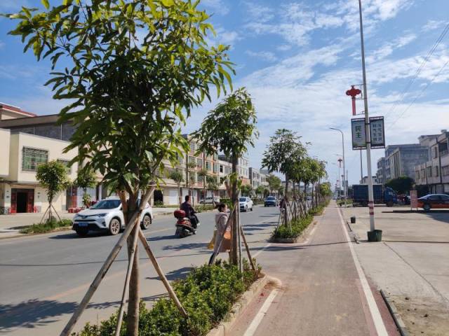 三嘉村的进村道路干净宽敞