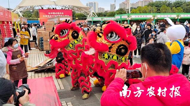 獅子鬧花市