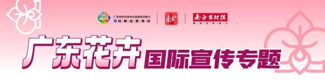 大年初一，广东蝴蝶兰上央视给全国人民拜年！