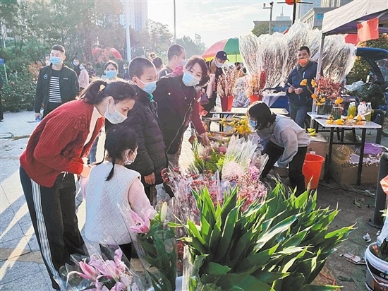 市民逛花市选购年花。 张华炽 摄