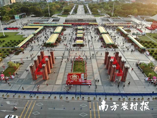 2023年增城迎春花市