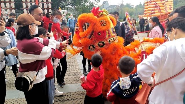 广州番禺：摸摸狮子头，“兔”个好意头 岭南印象园广府年味浓