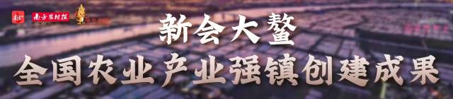 过年思乡味，新会画家李冰斌画大鳌对虾