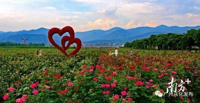 宝趣玫瑰世界。