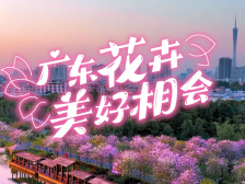 年初一，广东花卉登陆央视，与全球华人共贺新春！