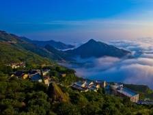 在粤过年，奔赴一场春日茶旅之约