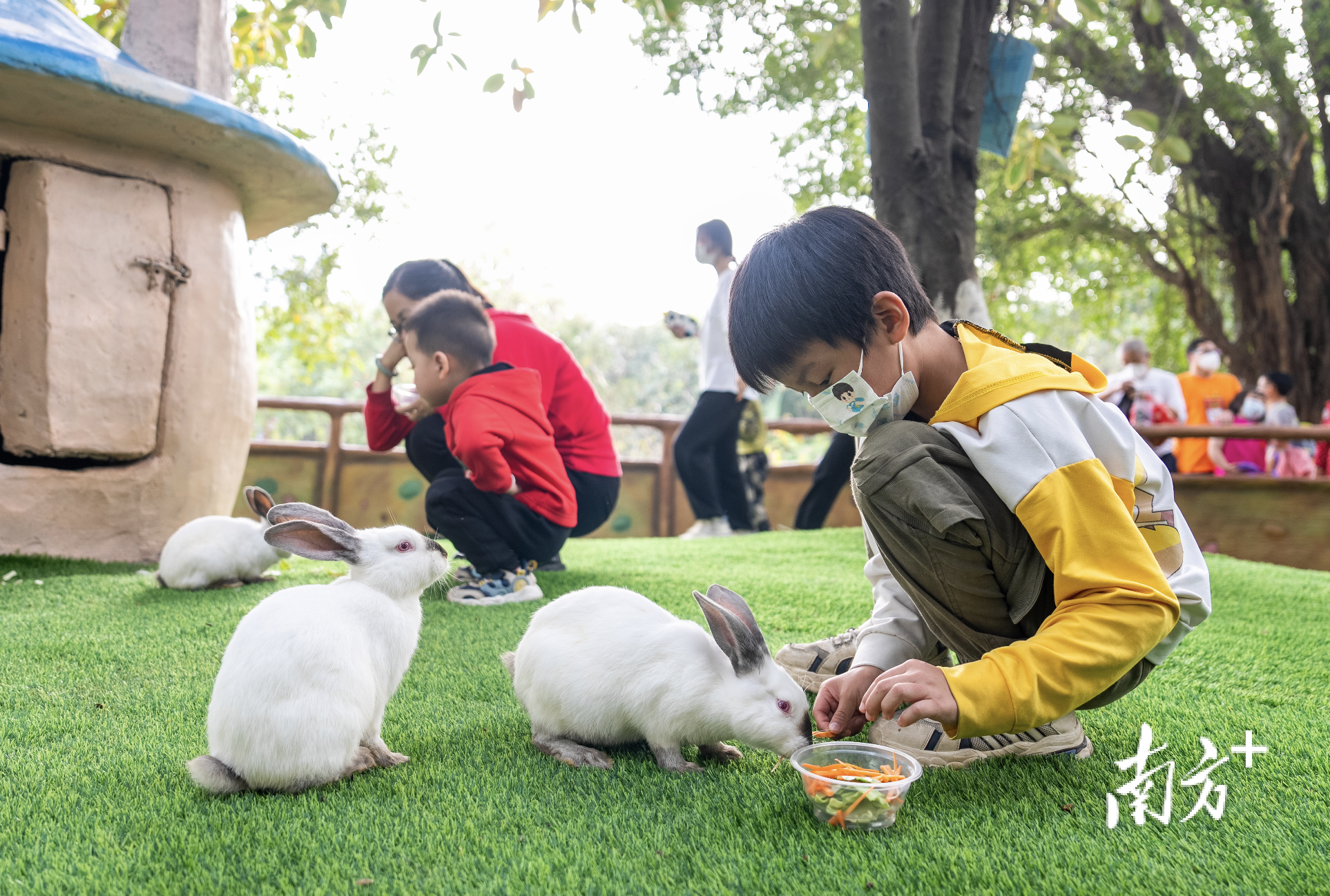    南方+ 龚名扬 拍摄