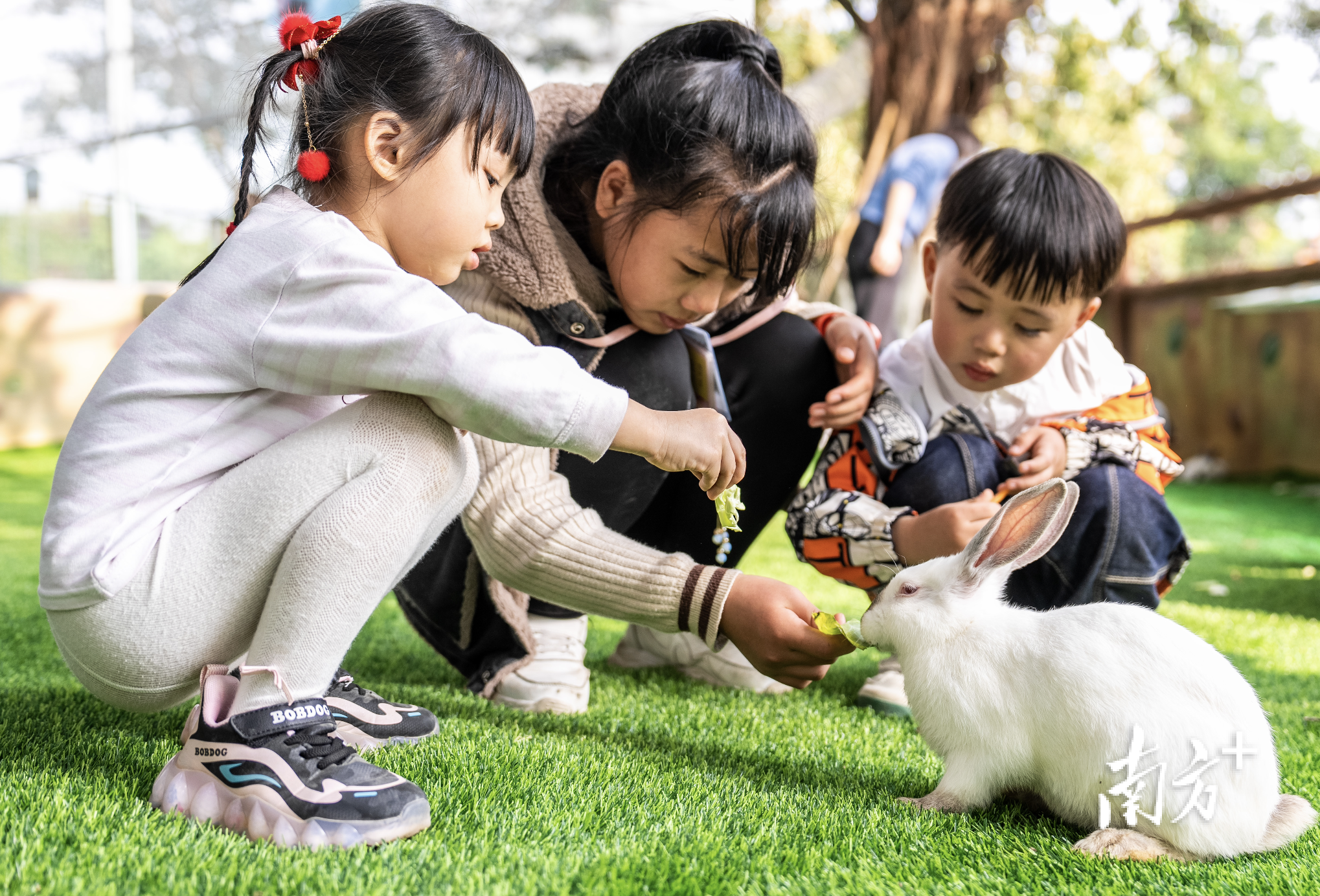    南方+ 龚名扬 拍摄