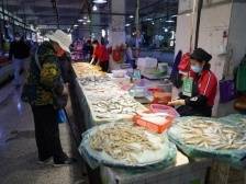 央视报道 | 湛江坡头：春节期间海鲜市场物丰价稳