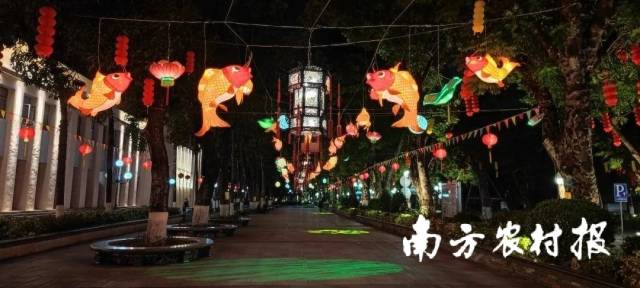 新会鱼灯点亮兔年春节的夜晚。