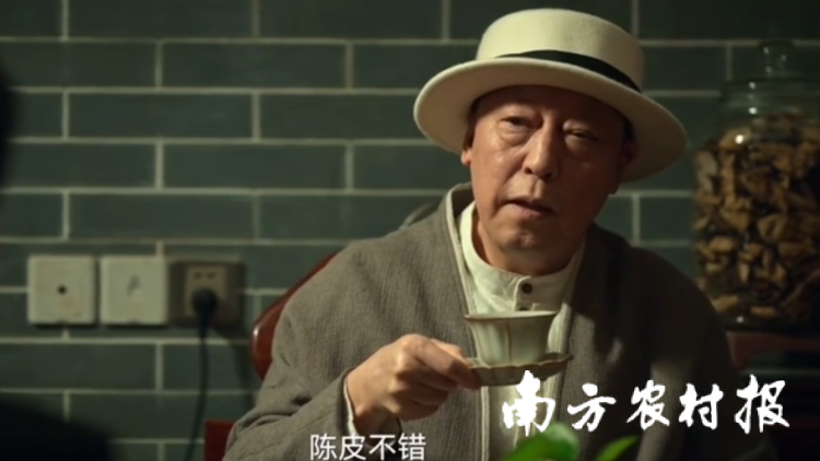 开工大吉，来杯​新会陈皮！央视热播剧《狂飙》也力荐