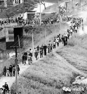 上世纪60年代的行通济,通济桥已变成平桥。 上世纪60年代的行通济,通济桥已变成平桥。