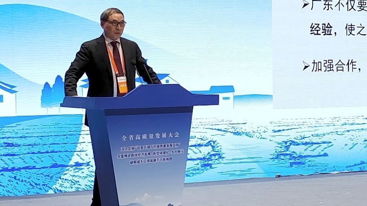 郑永年：广东“百千万工程”是实现共同富裕关键之举