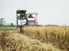 广东省农业农村厅：聚焦实施“百县千镇万村高质量发展工程”，加快建设农业强省