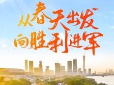 岭南春正好！南方号邀你“赛龙夺锦”