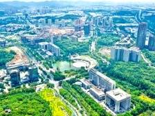 陈杰：力争重回两位数增长的开发区常态｜广州高质量发展大会