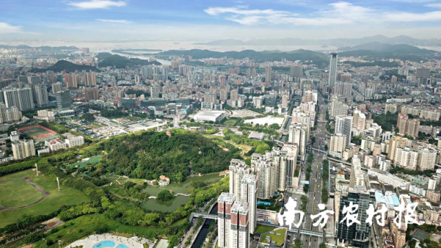 东莞虎门。王俊伟 摄