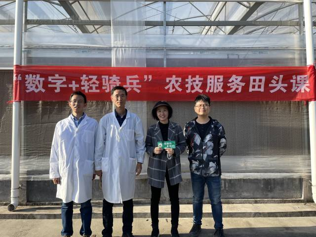 “数字+轻骑兵”田头课——樱桃番茄专场