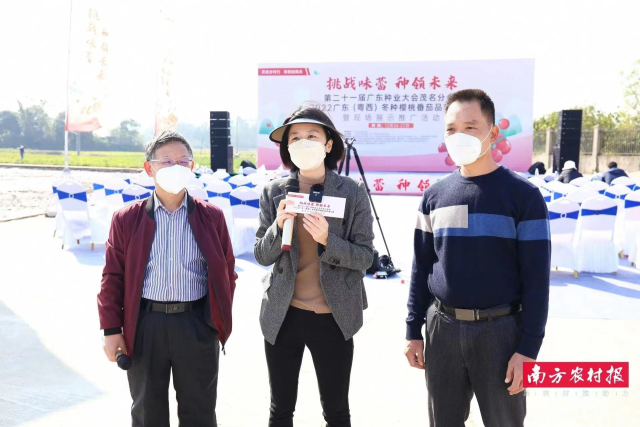 南方农村报 杨吉龙 拍摄